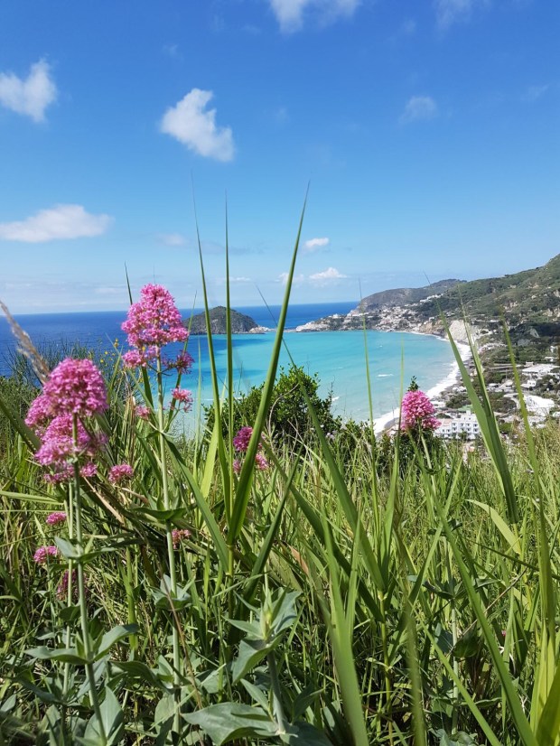 f6077ef0-6c0a-454e-883d-9a7de926e8fa